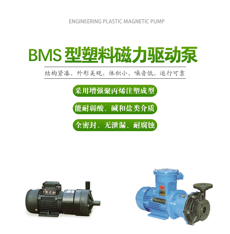 BMS型_塑料磁力泵（bèng）(圖1)